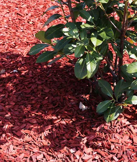 Mighty Affordable Lawn Care Mulching