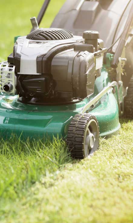 Mighty Affordable Lawn Care Residential Lawn Mowing