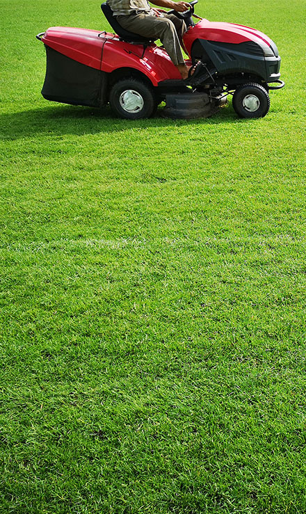 Contact Mighty Affordable Lawn Care for Landscaping Services